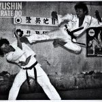 shoreiryu (49)